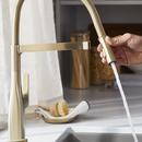 BLANCO Satin Gold Single Handle Pull Out Kitchen Faucet 
