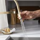 BLANCO Satin Gold Single Handle Pull Out Kitchen Faucet 