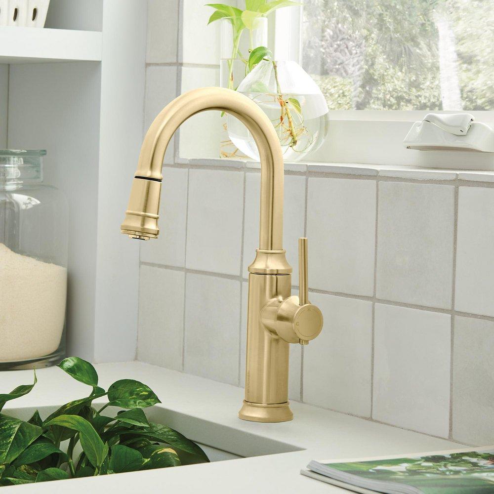 EMPRESSA BAR PULL-DOWN STREAM ONLY 1.5 GPM - SATIN GOLD 