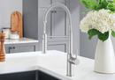 BLANCO PVD Steel Single Handle Pull Down Kitchen Faucet 