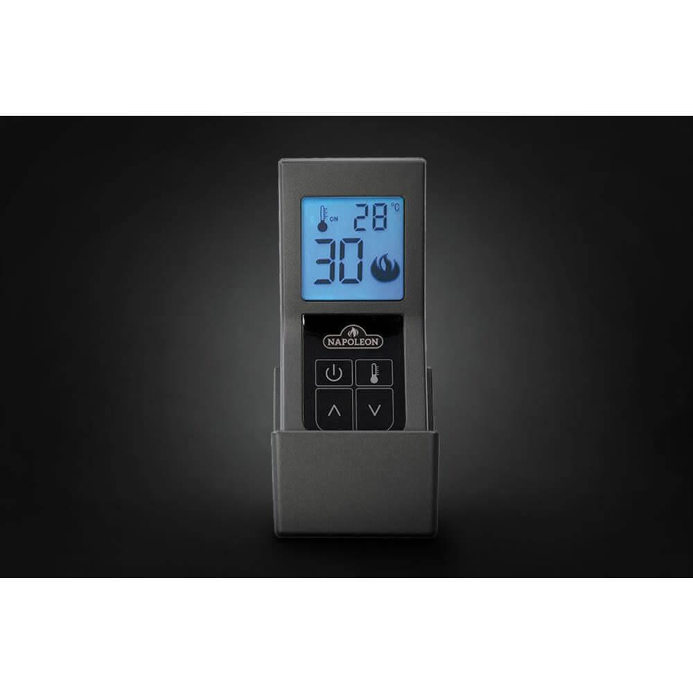 46 in. Gas Fireplace 