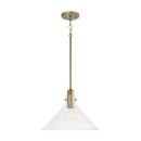 100W 1-Light Medium E-26 Incandescent Pendant in Aged Brass