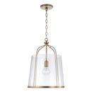 HomePlace by Capital Lighting Aged Brass 100W 1-Light Medium E-26 Incandescent Pendant Light 
