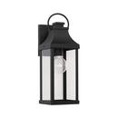 100W 1-Light 17-1/4 in. Outdoor Wall Sconce in Black