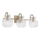 100W 3-Light Medium Vanity Fixture in Aged Brass