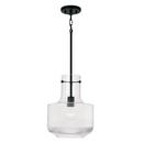Capital Lighting Matte Black 100W 1-Light Medium E-26 Incandescent Pendant 
