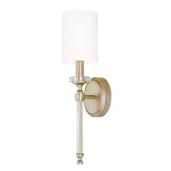 60W 1-Light 18-1/4 in. Wall Sconce in Brushed Champagne