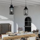 Capital Lighting Black 60W 4-Light Candelabra E-12 Incandescent Outdoor Pendant 