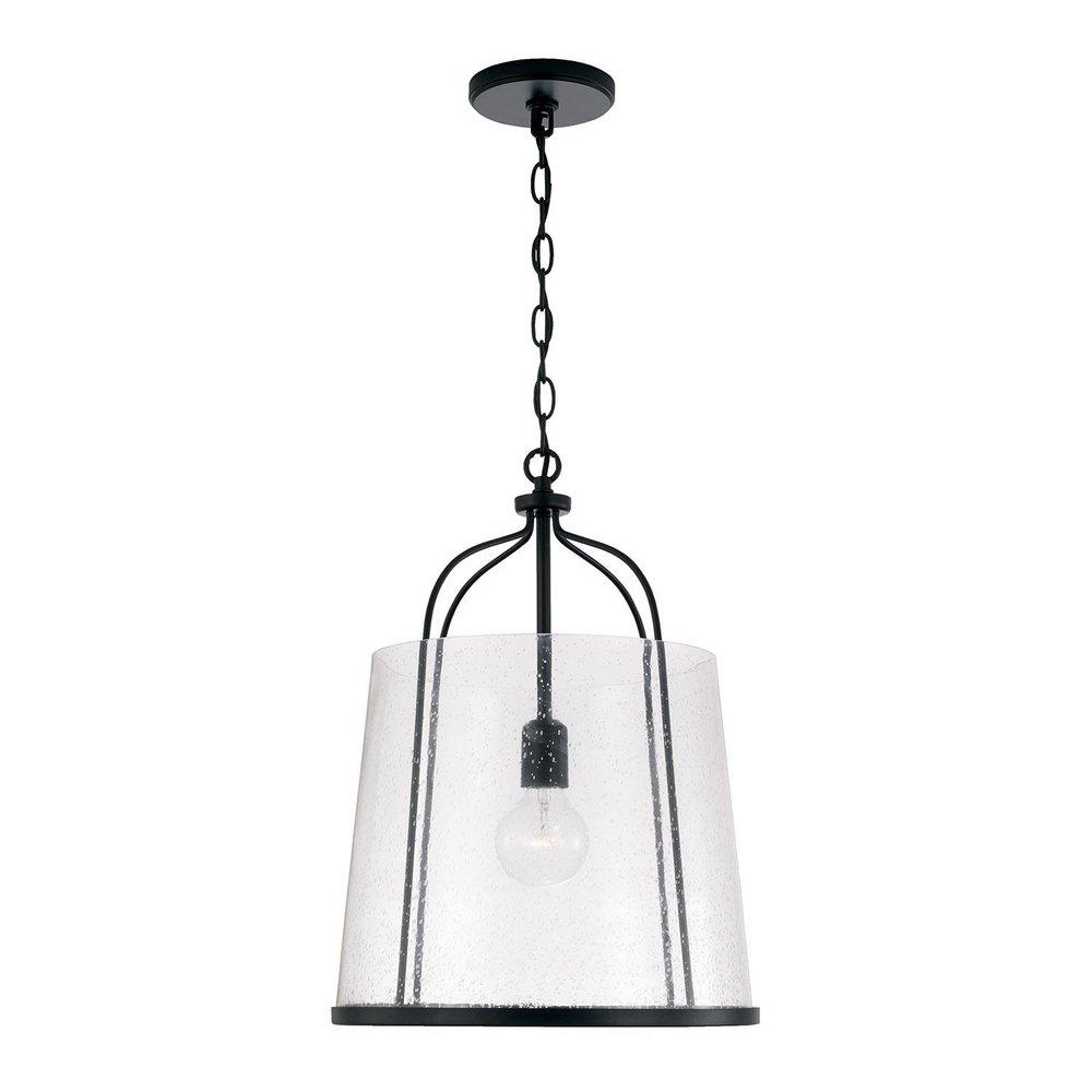 HomePlace by Capital Lighting Matte Black 100W 1-Light Medium E-26 Incandescent Pendant 