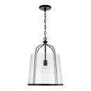 HomePlace by Capital Lighting Matte Black 100W 1-Light Medium E-26 Incandescent Pendant 