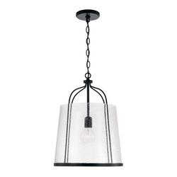100W 1-Light Medium E-26 Incandescent Pendant in Matte Black