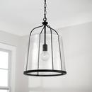 HomePlace by Capital Lighting Matte Black 100W 1-Light Medium E-26 Incandescent Pendant 