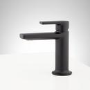 Signature Hardware Matte Black Single Handle Bathroom Sink Faucet 