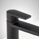 Signature Hardware Matte Black Single Handle Bathroom Sink Faucet 