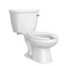 PROFLO&reg; White Elongated Floor Mount Two Piece Toilet in White 