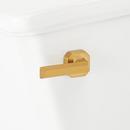 Trip Lever in Brushed Nickel
