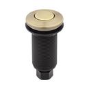 Air Switch Button in Aged Brass