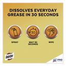 EASY-OFF&reg; PRO White Cleaner for Grease Remover, Multi-purpose and Ovens (Case of 6) 