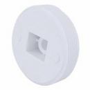 2 in. PVC DWV FLUSH CO PLG BI W/ O-RING 