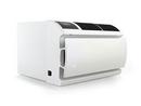 Smart - Energy Star - Through-the-Wall Air Conditioner - 11,600 BTU Cooling