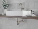 Delta Faucet Brilliance Stainless Brass P-Trap 