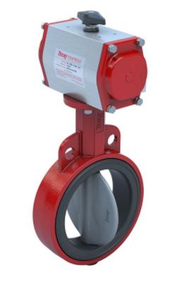 4 in. Ductile Iron Nylon Lever Butterfly Valve
