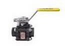 2 in Carbon Steel Full Port FPT Ball Valve