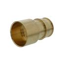 2 in. Brass PEX Expansion x Female Sweat Adapter