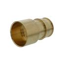 2 in. Brass PEX Expansion x Female Sweat Adapter 