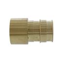 Jones Stephens Brass Brass PEX Expansion x Female Sweat Adapter 
