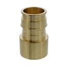 Jones Stephens Brass Brass PEX Expansion x Female Sweat Adapter 