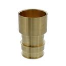 Jones Stephens Brass Brass PEX Expansion x Female Sweat Adapter 