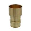 2 in. Brass PEX Expansion x Female Sweat Adapter 