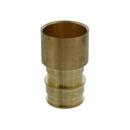 1-1/4 in. Brass PEX Expansion x Female Sweat Adapter 