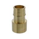 1-1/2 in. Brass PEX Expansion x Female Sweat Adapter 
