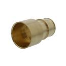 1-1/2 in. Brass PEX Expansion x Female Sweat Adapter