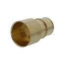 1-1/2 in. Brass PEX Expansion x Female Sweat Adapter 