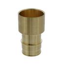 1-1/2 in. Brass PEX Expansion x Female Sweat Adapter 
