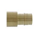 1-1/2 in. Brass PEX Expansion x Female Sweat Adapter 