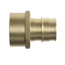 Jones Stephens Brass Brass PEX Expansion x FPT Adapter 
