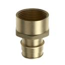 Jones Stephens Brass Brass PEX Expansion x FPT Adapter 