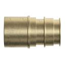1-1/2 in. Brass PEX Expansion x Fitting Adapter 