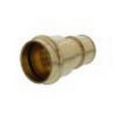 1-1/2 in. Brass PEX Expansion x Press Adapter