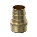 Jones Stephens Brass Brass PEX Expansion x MPT Adapter 