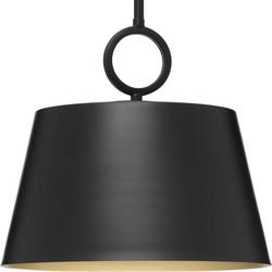 100W 1-Light Medium E-26 Incandescent Pendant Light in Matte Black