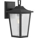 Progress Lighting Textured Black 100W 1-Light 11-1/4 in. Outdoor Wall Sconce 