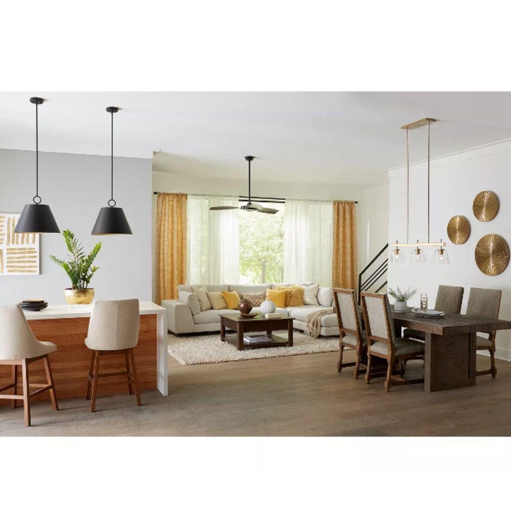 Progress Lighting Matte Black 60W 3-Light Medium E-26 Incandescent Pendant Light 