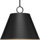Progress Lighting Matte Black 60W 3-Light Medium E-26 Incandescent Pendant Light 