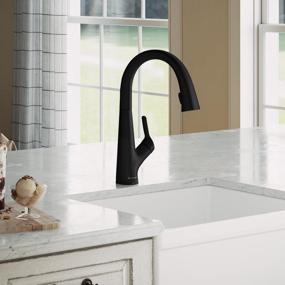 Elkay Chrome Single Handle Lever Water Filter Faucet 