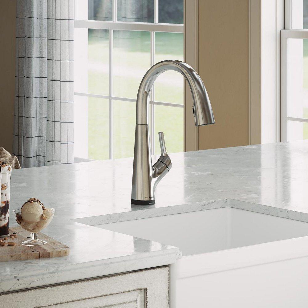 Elkay Lustrous Steel Single Handle Lever Water Filter Faucet 